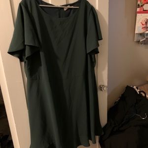 Plus size Loft dress